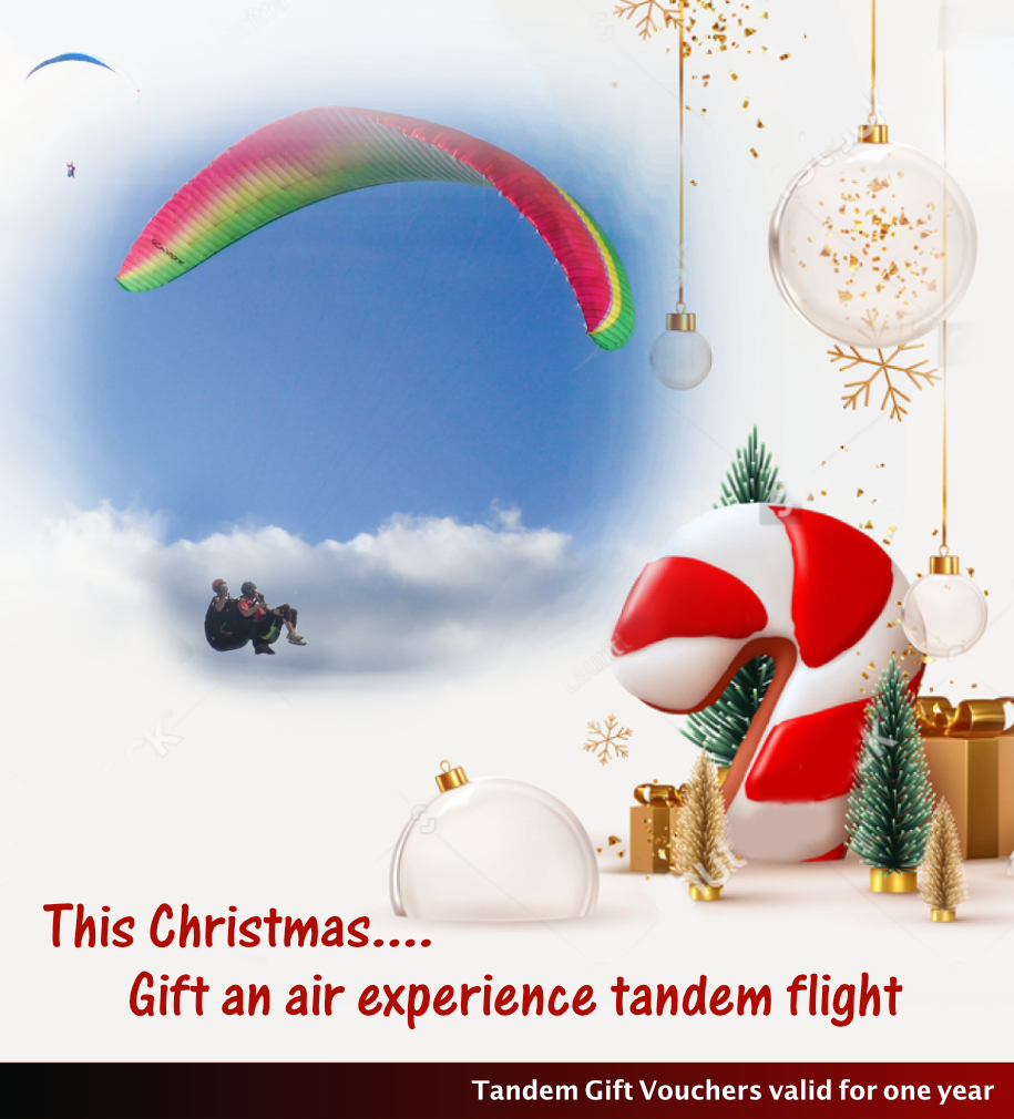 This is default alt image